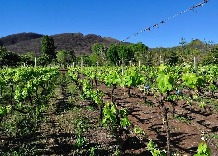 Finca Cielo Verde